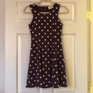 Crescent cielia textured knit dress